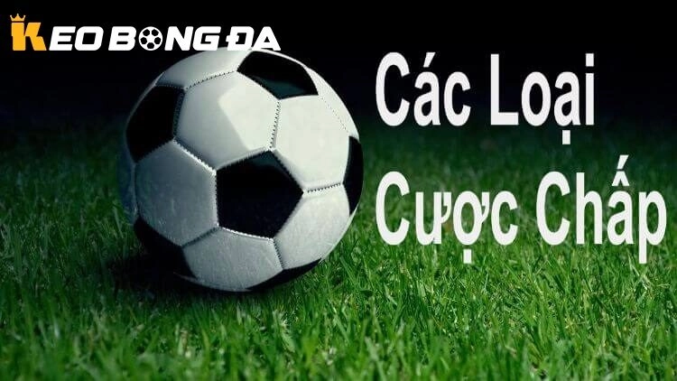 Bí quyết chọn các loại kèo trong bóng đá thông minh và hiệu quả
