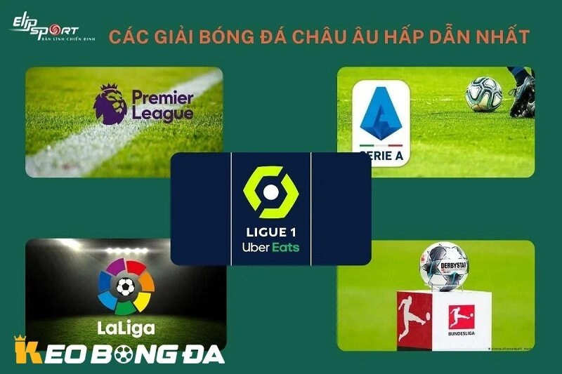 Các giải bóng đá được soi kèo nhiều nhất tại kèo bóng đá