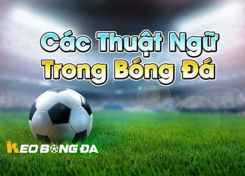 Các Thuật Ngữ Cơ Bản Nhất Trong Cá Độ Bóng Đá Tại Kèo Bóng Đá
