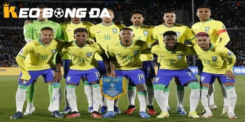 Đội hình Brazil World Cup 2026 được đánh giá rất cao